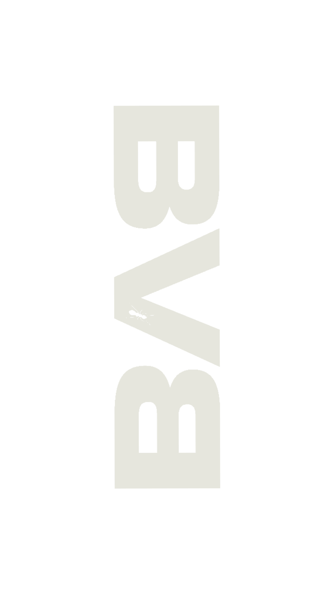 BVB